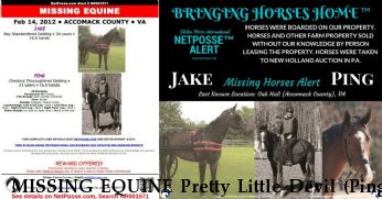 MISSING EQUINE Pretty Little Devil (Ping) and Jake, Near Oak Hall, VA, 23416